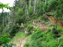 thumbnail of "Alum Cave Bluff Trail - 4"