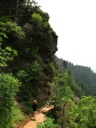 thumbnail of "Alum Cave Bluff Trail - 6"