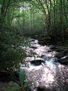 thumbnail of "Creek Along The Alum Cave Trail - 2"