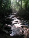 thumbnail of "Creek Along The Alum Cave Trail - 3"