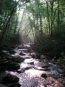 thumbnail of "Creek Along The Alum Cave Trail - 4"