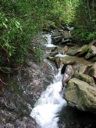 thumbnail of "Creek Along The Alum Cave Trail - 6"