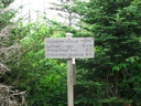 thumbnail of "Final Signpost"