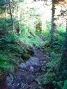 thumbnail of "Trail Back From Myrtle Point - 02"