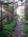 thumbnail of "Trail Back From Myrtle Point - 03"