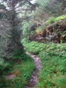 thumbnail of "Trail Back From Myrtle Point - 04"