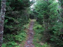 thumbnail of "Trail To Cliff Top - 1"