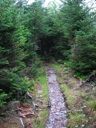 thumbnail of "Trail To Cliff Top - 2"