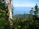 thumbnail of "View From Rainbow Falls Trail - 1"