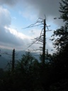 thumbnail of "View From The Alum Cave Bluff Trail - 04"