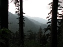 thumbnail of "View From The Alum Cave Bluff Trail - 07"