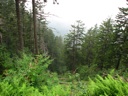 thumbnail of "View From The Alum Cave Bluff Trail - 09"