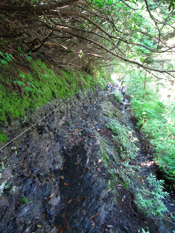 Ascending The Rocky Trail - 1