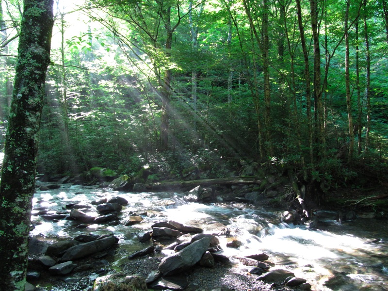 Creek Along The Alum Cave Bluff Trail - 05