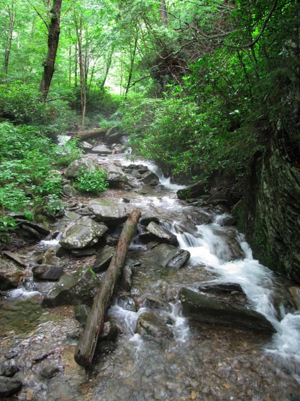 Creek Along The Alum Cave Bluffs Trail - 13