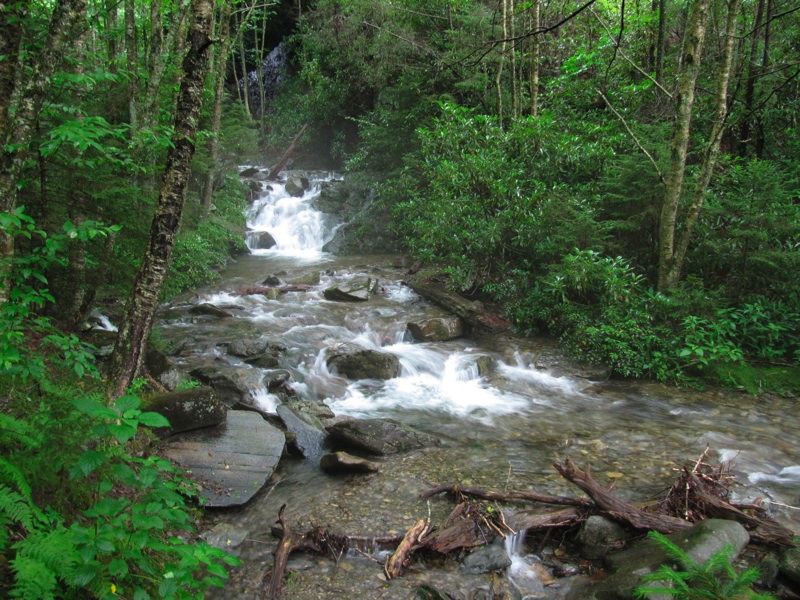 Creek Along The Alum Cave Bluffs Trail - 14