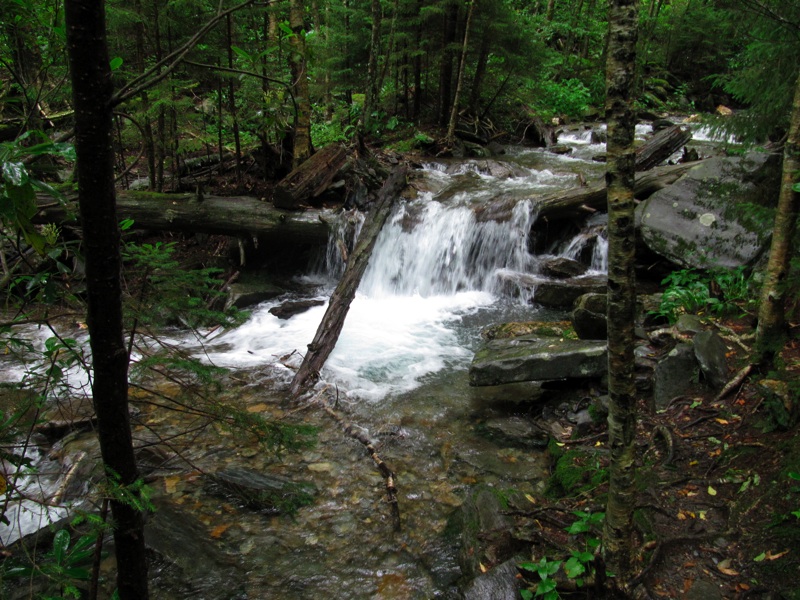 Creek Along The Alum Cave Bluffs Trail - 17