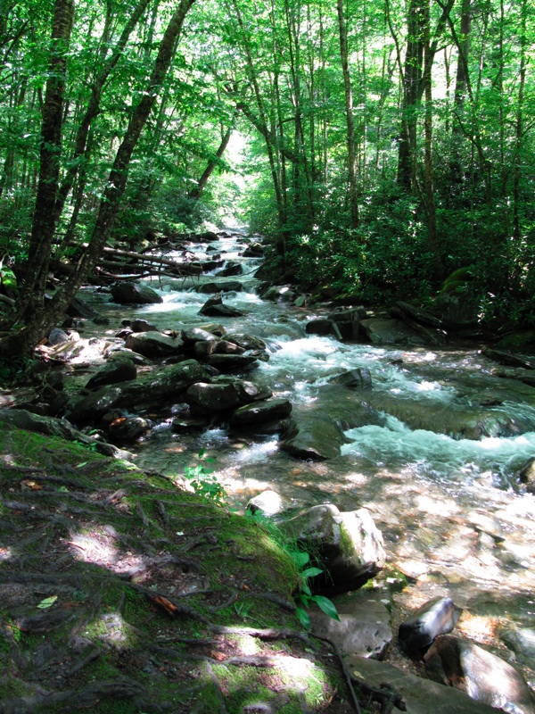 Creek Along The Alum Cave Bluffs Trail - 19