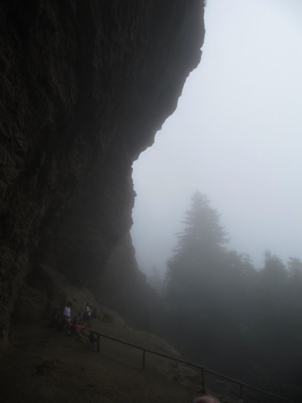 Misty Alum Cave Bluffs - 2