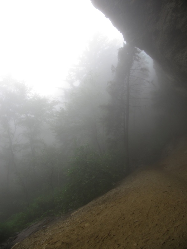 Misty Alum Cave Bluffs - 4