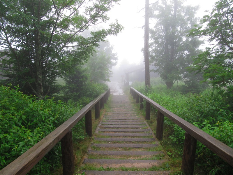 Misty Post-Breakfast Stairway To LeConte Lodge