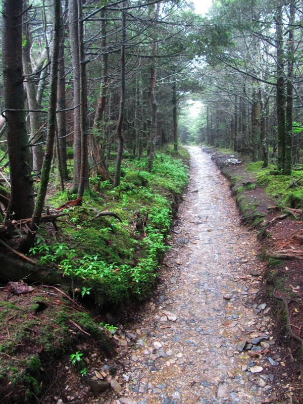 Misty Post-Breakfast Trail - 11