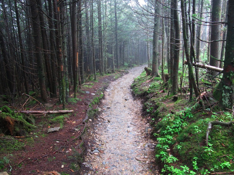 Misty Post-Breakfast Trail - 17