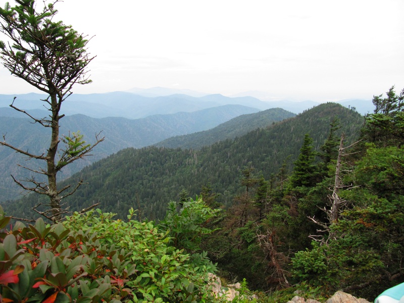 Off The Trail Towards Cliff Top - 2