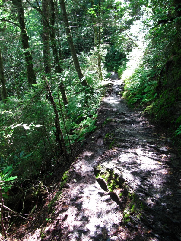 The Alum Cave Bluffs Trail - 04