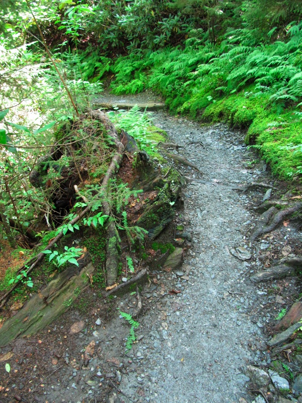 The Alum Cave Bluffs Trail - 05