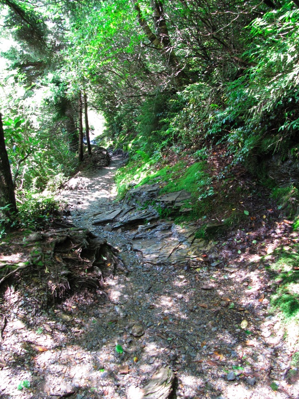 The Alum Cave Bluffs Trail - 07