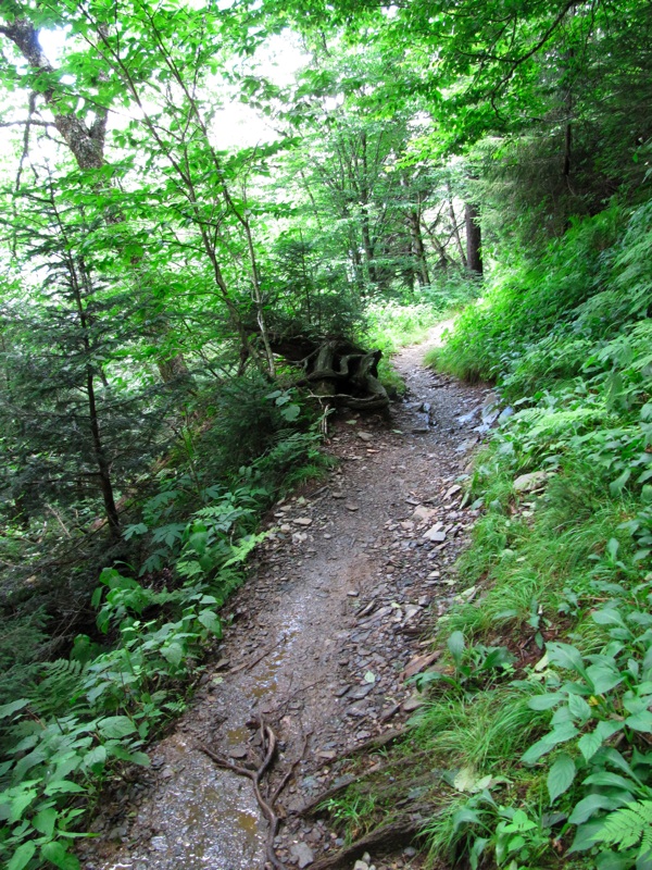 The Alum Cave Bluffs Trail - 09