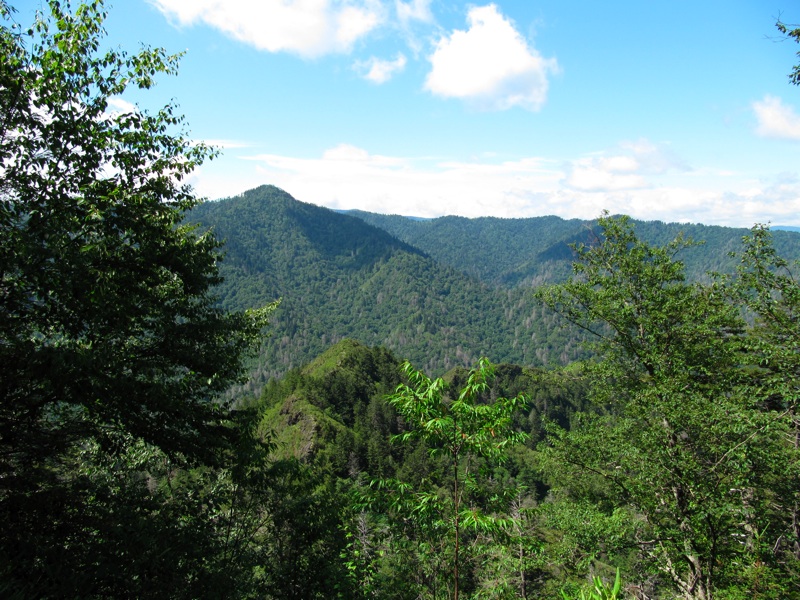 Trees & Mountains Along The Alum Cave Bluffs Trail - 07