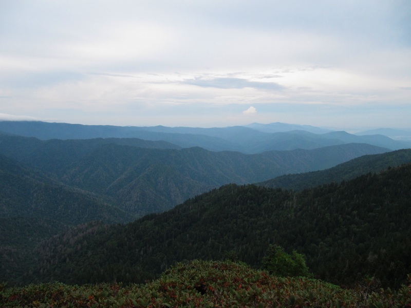 View From Cliff Top - 08