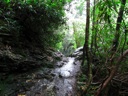 thumbnail of "Approaching Arch Rock"