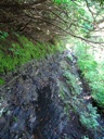 thumbnail of "Ascending The Rocky Trail - 1"