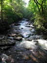 thumbnail of "Creek Along The Alum Cave Bluffs Trail - 01"