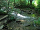 thumbnail of "Creek Along The Alum Cave Bluffs Trail - 02"