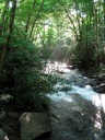 thumbnail of "Creek Along The Alum Cave Bluffs Trail - 03"