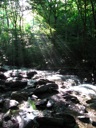 thumbnail of "Creek Along The Alum Cave Bluffs Trail - 04"