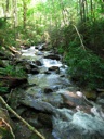 thumbnail of "Creek Along The Alum Cave Bluffs Trail - 09"