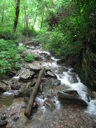 thumbnail of "Creek Along The Alum Cave Bluffs Trail - 13"