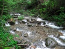 thumbnail of "Creek Along The Alum Cave Bluffs Trail - 15"