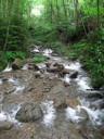 thumbnail of "Creek Along The Alum Cave Bluffs Trail - 16"