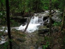 thumbnail of "Creek Along The Alum Cave Bluffs Trail - 17"