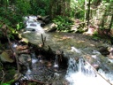 thumbnail of "Creek Along The Alum Cave Bluffs Trail - 18"