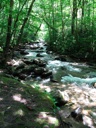 thumbnail of "Creek Along The Alum Cave Bluffs Trail - 19"