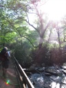 thumbnail of "Henry Crossing The First Bridge On The Alum Cave Trail"