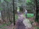 thumbnail of "John On The The Trail Towards Cliff Top"