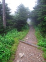 thumbnail of "Misty Post-Breakfast Trail - 01"